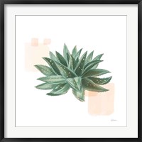 Framed Desert Color Succulent II