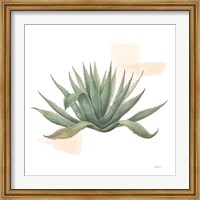Framed Desert Color Succulent I