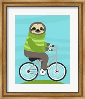 Framed Cycling Sloth