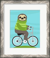 Framed Cycling Sloth