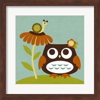 Framed Owl Looking at Snail