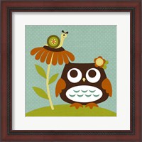 Framed Owl Looking at Snail