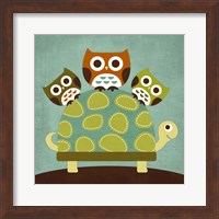 Framed Three Owls on Turtle