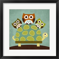 Framed Three Owls on Turtle