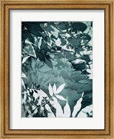 Framed Abstract Leaves