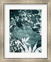 Framed Abstract Leaves