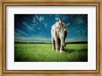 Framed Elephant Carry Me