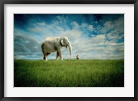 Framed Elephant Follow Me