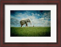 Framed Elephant Follow Me