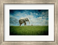 Framed Elephant Follow Me