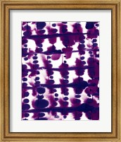 Framed Parallel Purple Mauve