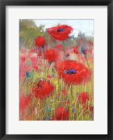 Framed In the Poppy Field