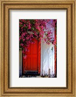 Framed Red Door