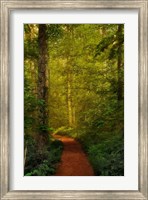 Framed Fairytale Path