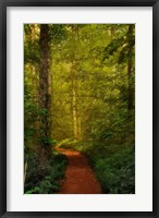 Framed Fairytale Path