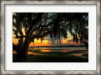 Framed Savannah Evening