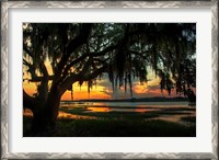 Framed Savannah Evening