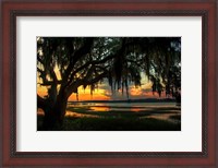 Framed Savannah Evening