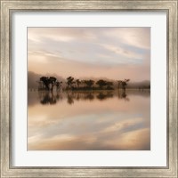 Framed Dawn Mist on the Amazon