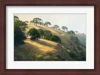 Framed Afternoon Shadows