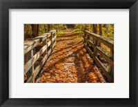 Framed Fall On The Footbridge