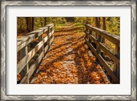 Framed Fall On The Footbridge