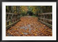 Framed Fall on the Goose (Victoria)