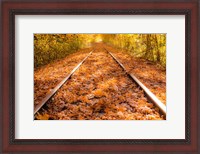 Framed Train Tracks in The Fall