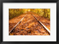 Framed Train Tracks in The Fall