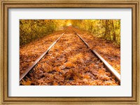 Framed Train Tracks in The Fall