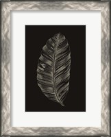 Framed Black Leaf