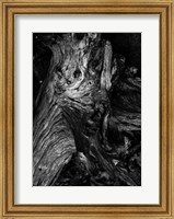 Framed Black Wood
