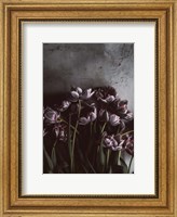 Framed Dark Tulips