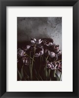 Framed Dark Tulips