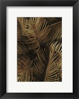 Framed Golden Palm 2