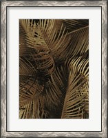 Framed Golden Palm 2