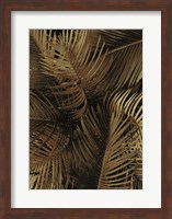 Framed Golden Palm 2