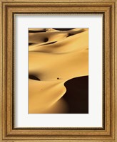 Framed In the Dunes 1