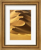 Framed In the Dunes 2