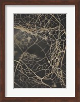 Framed Leaf Skeleton Dark