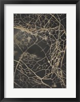 Framed Leaf Skeleton Dark