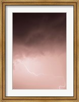 Framed Lightning Pink
