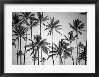 Framed Palm Heaven