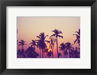 Framed Palm Sky 1