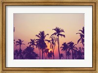 Framed Palm Sky 1