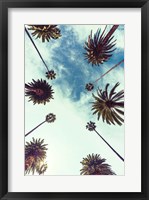 Framed Palm Sky 2