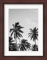 Framed Palms in Grey
