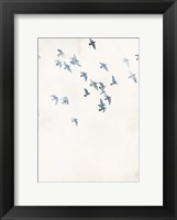 Framed Pigeons Sky