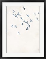 Framed Pigeons Sky