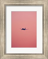 Framed Pink Flight